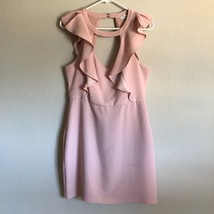 Rose Smoke Dress
